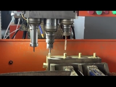 놋쇠로 만든 다양성